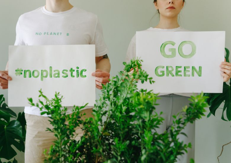 Eco optica